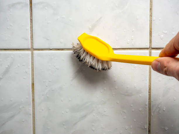 Best Emergency Mold Removal  in Sanger, TX