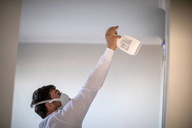 Best Affordable Mold Removal  in Sanger, TX