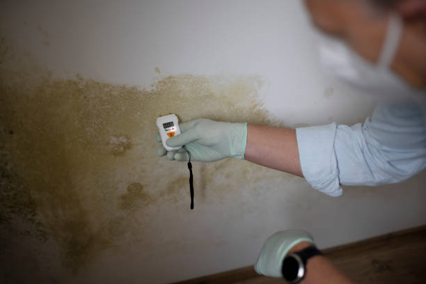 Crawl Space Mold Removal in Sanger, TX