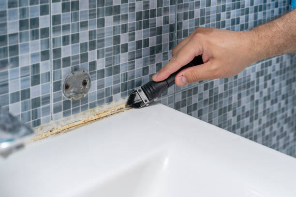 Best Certified Mold Removal  in Sanger, TX