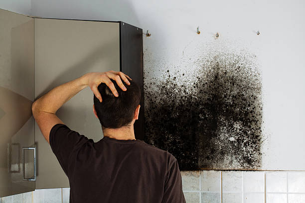 Best Residential Mold Removal  in Sanger, TX